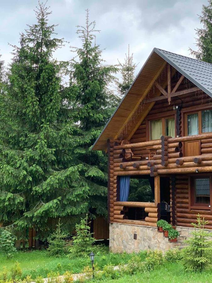 Cottage Karinka Bukovel Eksteriør bilde
